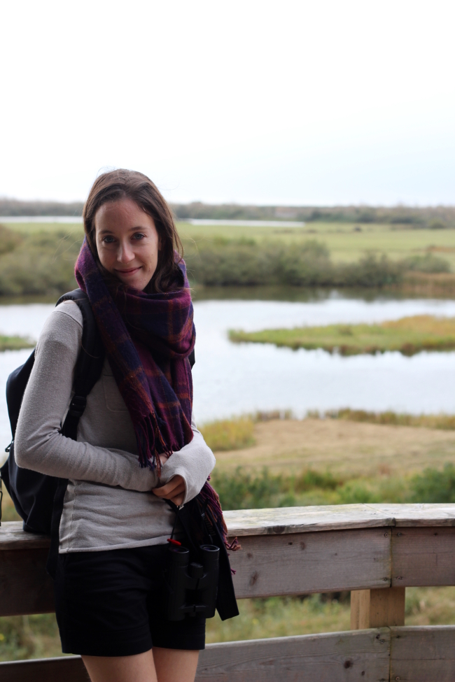 baie de somme