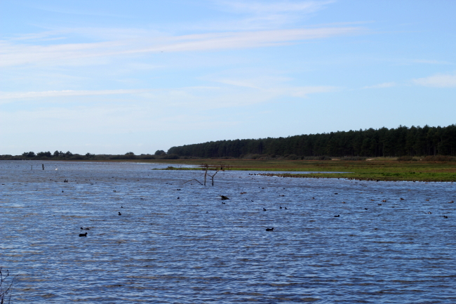 baie de somme