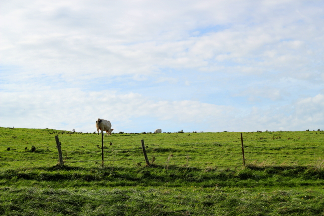 baie de somme