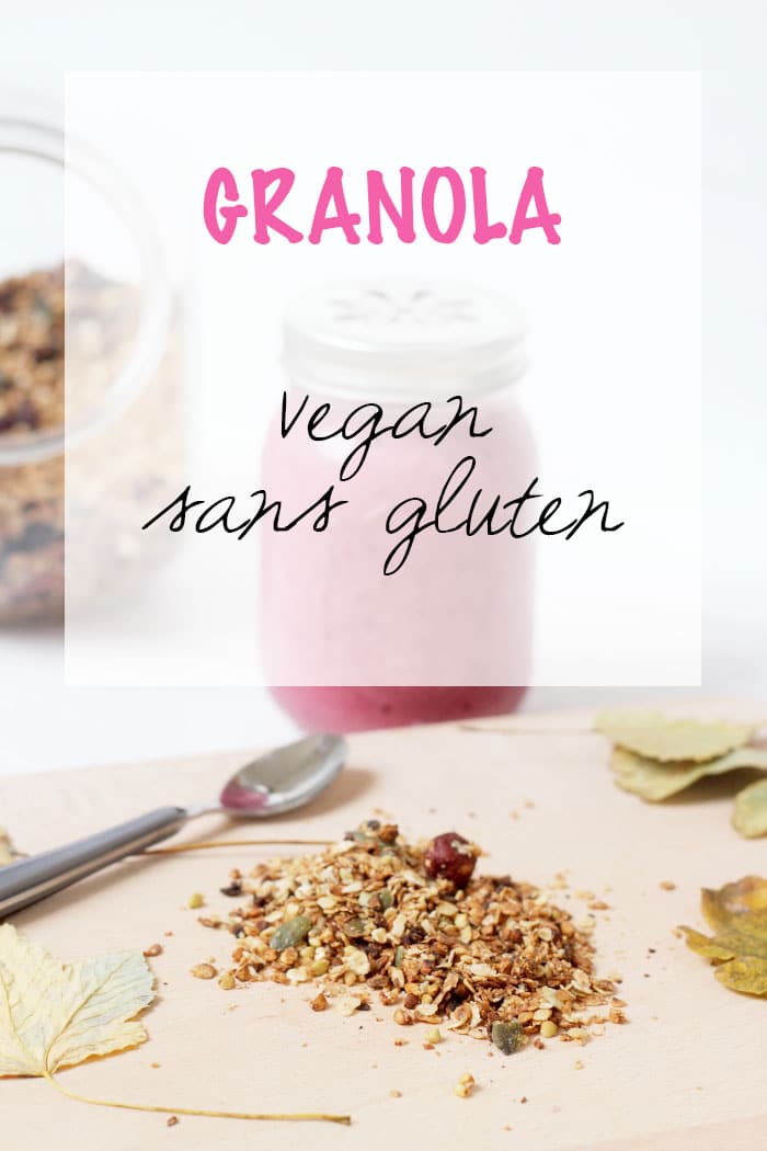 granola vegan sans gluten fait maison