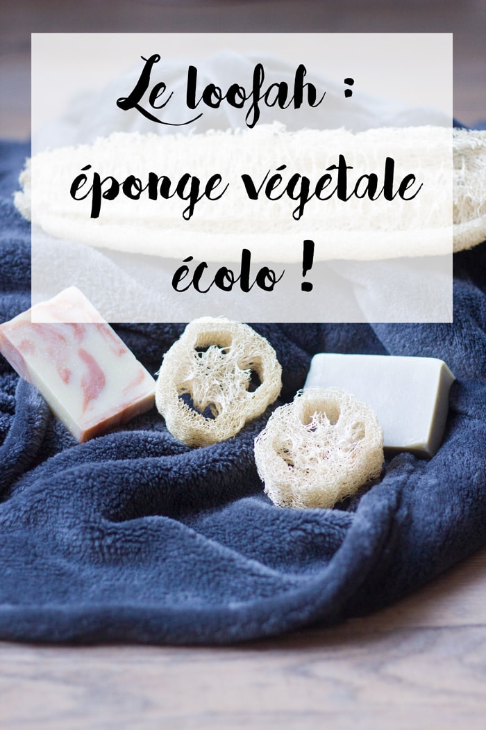 loofah éponge végétale écologique