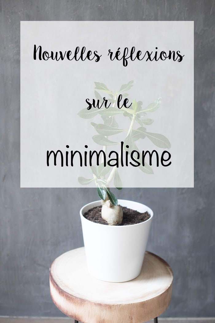 nouvelles réflexions sur le minimalisme