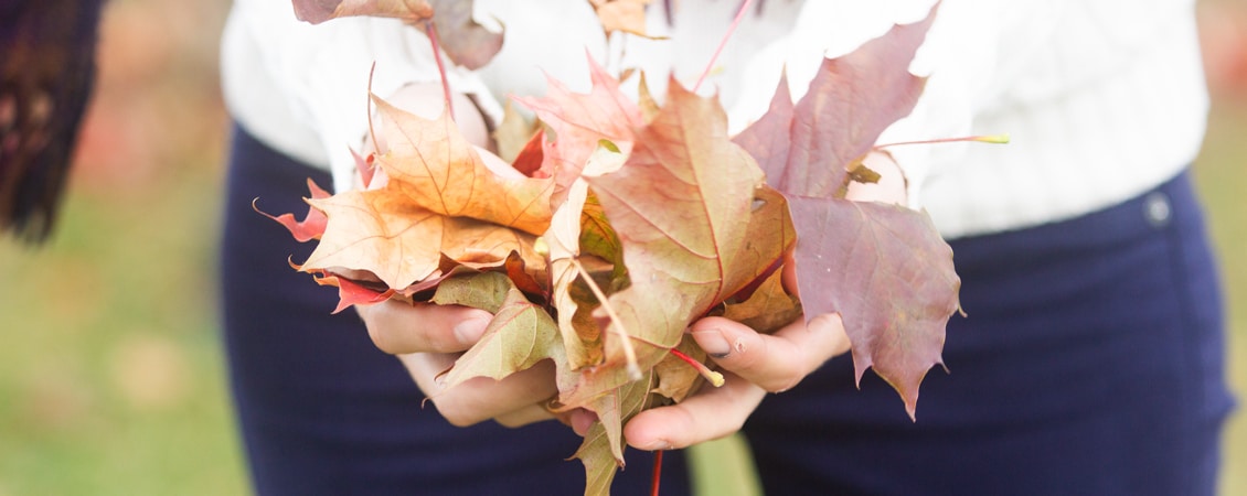 rhapsody in green : blog beauté bio et green lifestyle